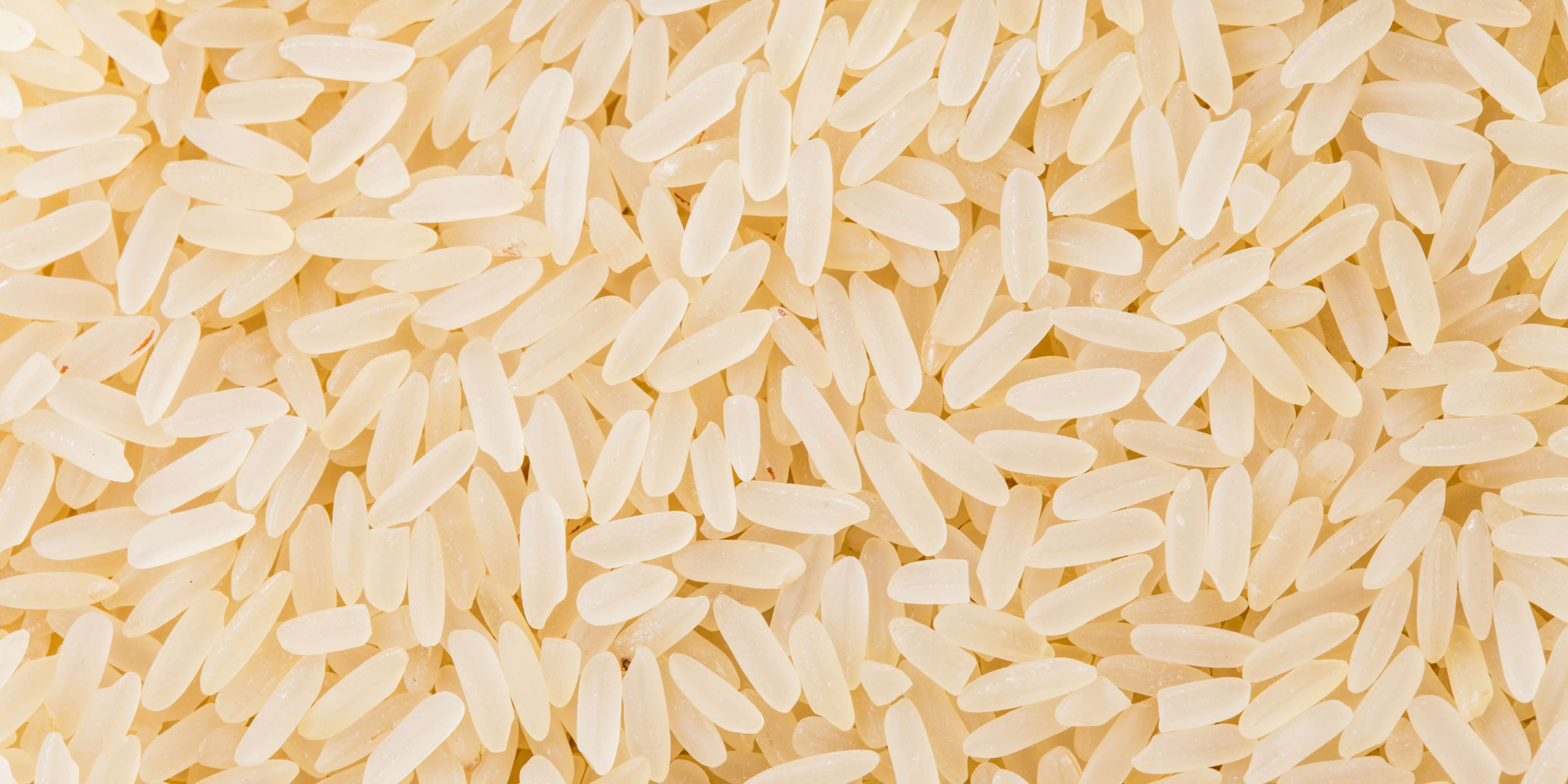 From Field to Freight – How Shri Gopal Agrotech Delivers Premium IR 64 Parboiled Rice Worldwide